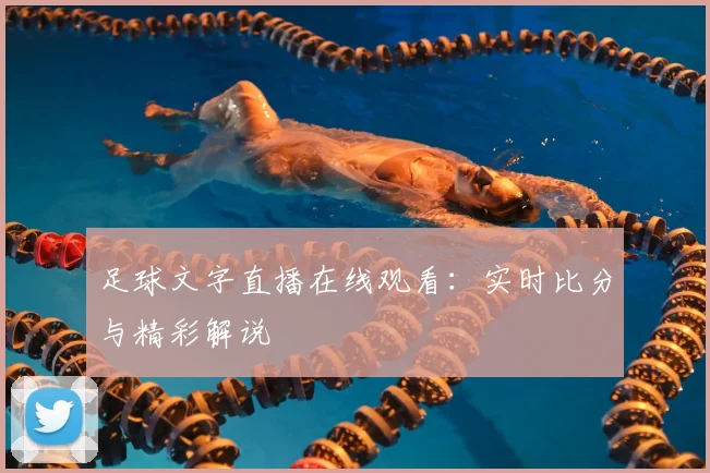 足球文字直播在线观看：实时比分与精彩解说