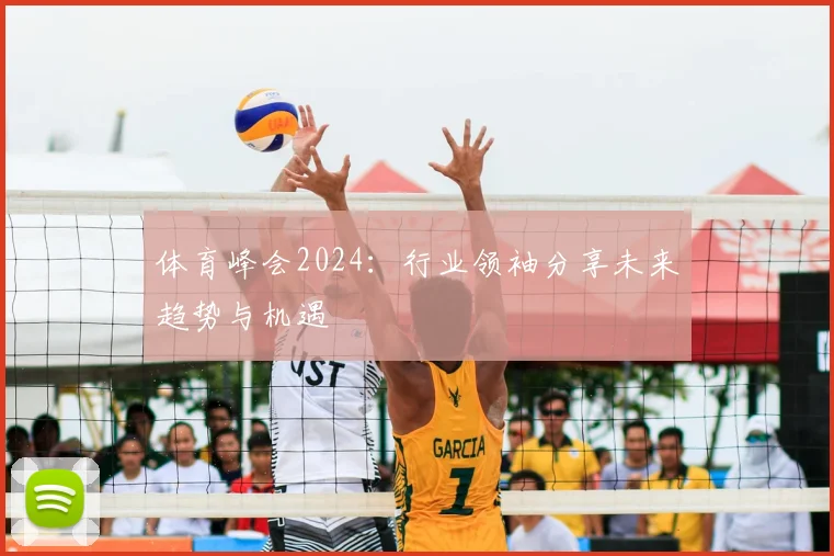 体育峰会2024：行业领袖分享未来趋势与机遇