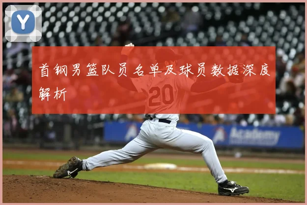 首钢男篮队员名单及球员数据深度解析